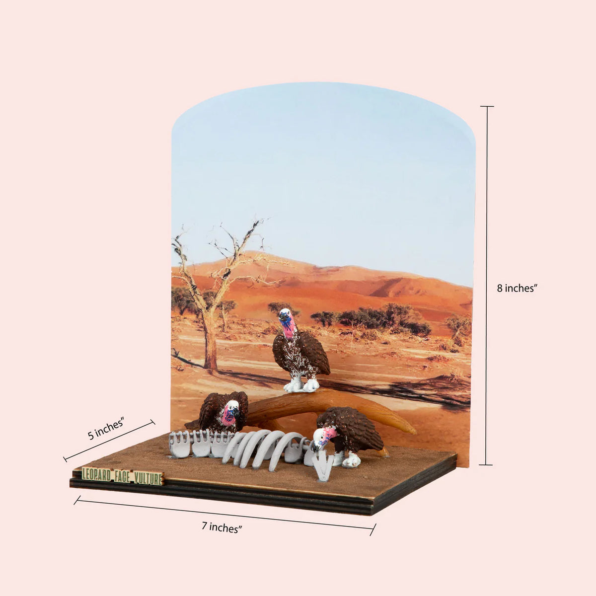 Lappet Faced Vulture DIY Craft Kit