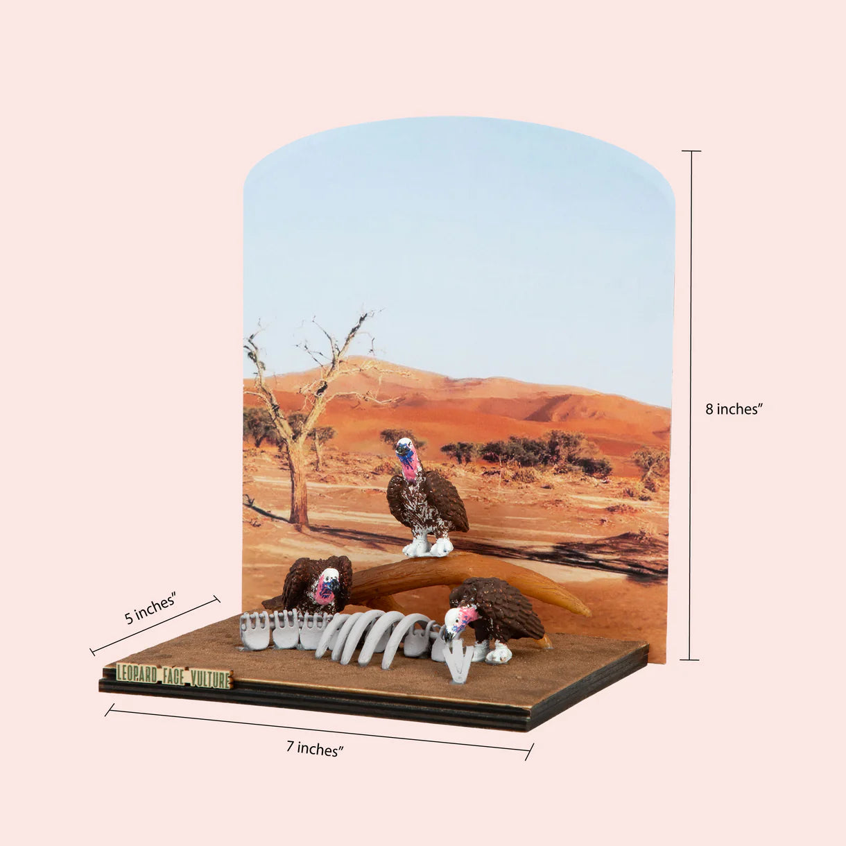 Lappet Faced Vulture DIY Craft Kit